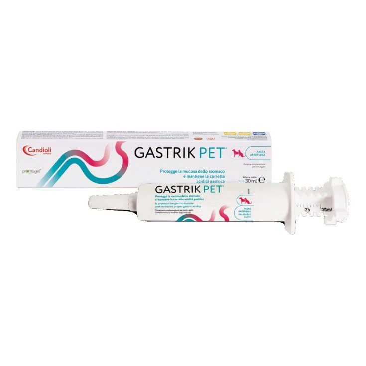 GASTRIK PET PASTA 30ML SIRINGA
